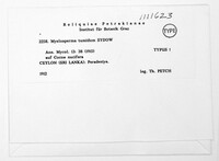 Image Associated With the Occurrence